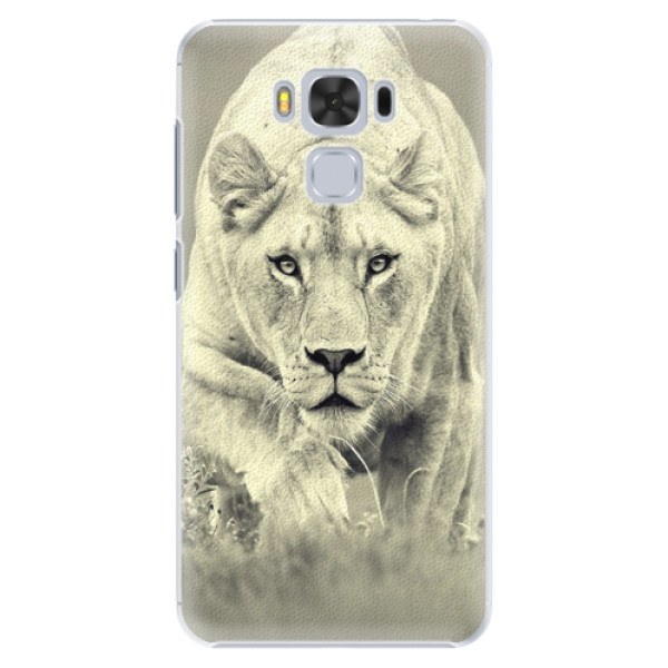 Plastové puzdro iSaprio - Lioness 01 - Asus ZenFone 3 Max ZC553KL