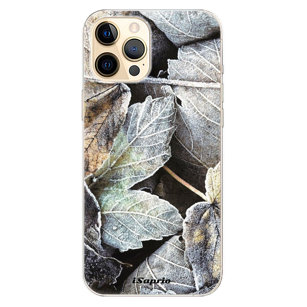 Odolné silikónové puzdro iSaprio - Old Leaves 01 - iPhone 12 Pro Max