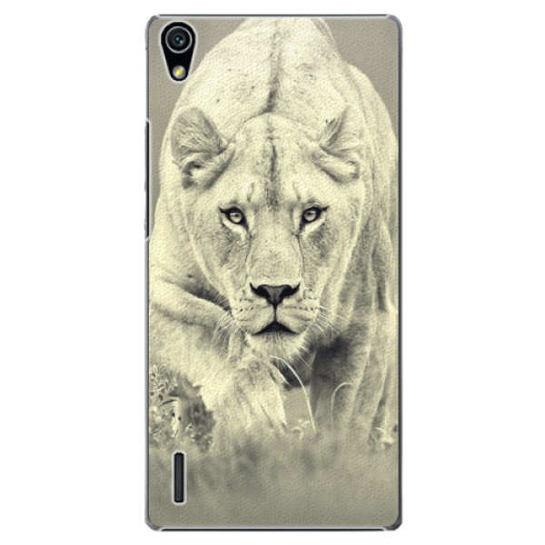 Plastové puzdro iSaprio - Lioness 01 - Huawei Ascend P7