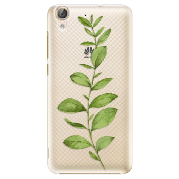 Plastové puzdro iSaprio - Green Plant 01 - Huawei Y6 II