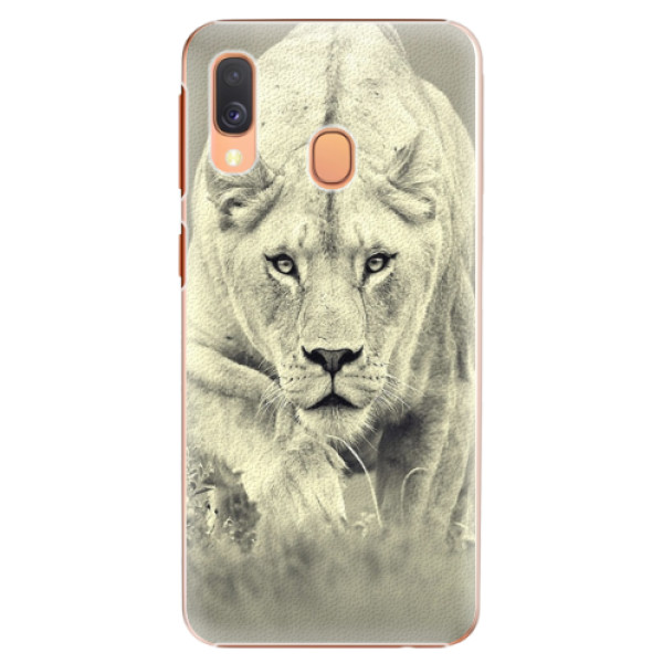 Plastové puzdro iSaprio - Lioness 01 - Samsung Galaxy A40