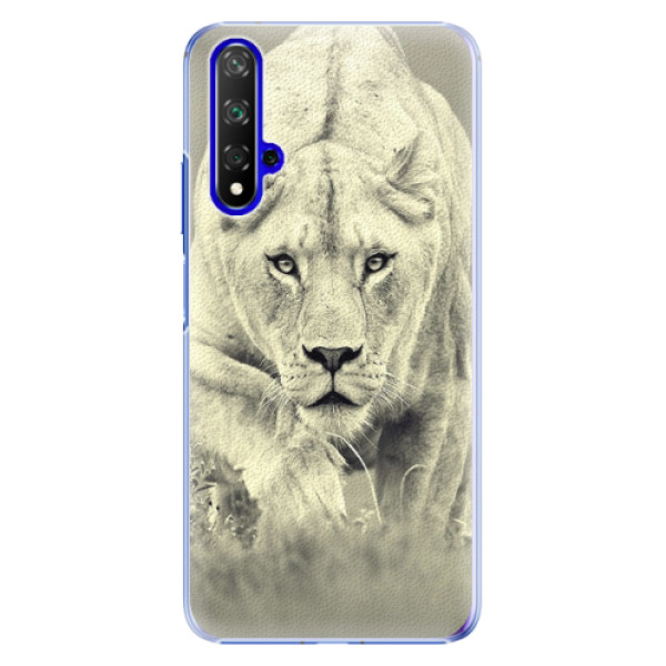 Plastové puzdro iSaprio - Lioness 01 - Huawei Honor 20