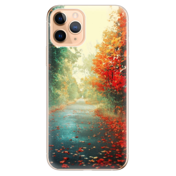 Odolné silikónové puzdro iSaprio - Autumn 03 - iPhone 11 Pro