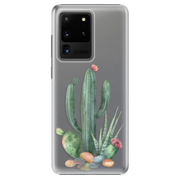 Plastové puzdro iSaprio - Cacti 02 - Samsung Galaxy S20 Ultra