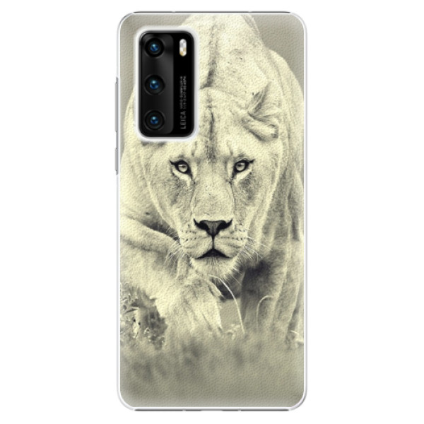 Plastové puzdro iSaprio - Lioness 01 - Huawei P40