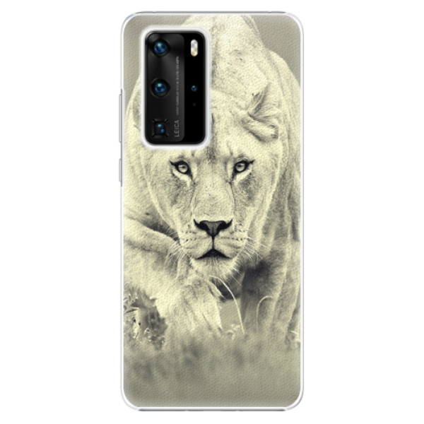 Plastové puzdro iSaprio - Lioness 01 - Huawei P40 Pro