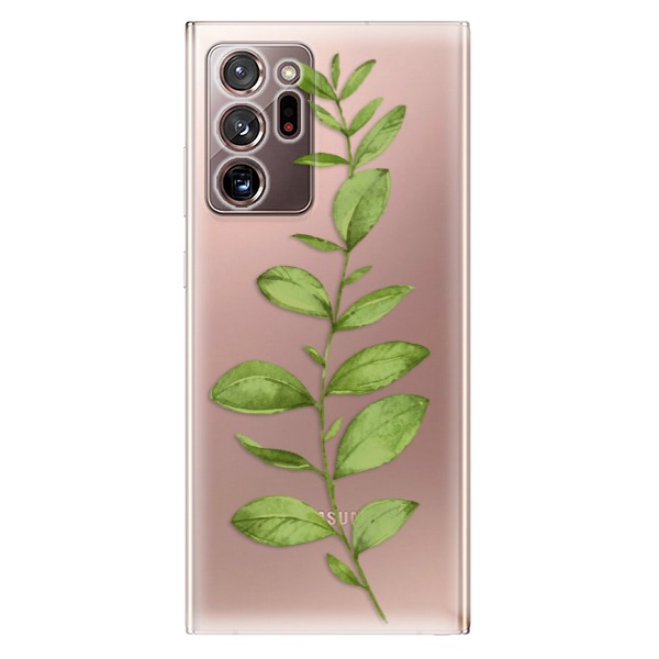 Odolné silikónové puzdro iSaprio - Green Plant 01 - Samsung Galaxy Note 20 Ultra