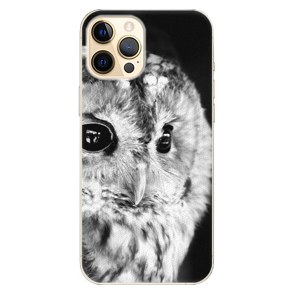 Plastové puzdro iSaprio - BW Owl - iPhone 12 Pro Max