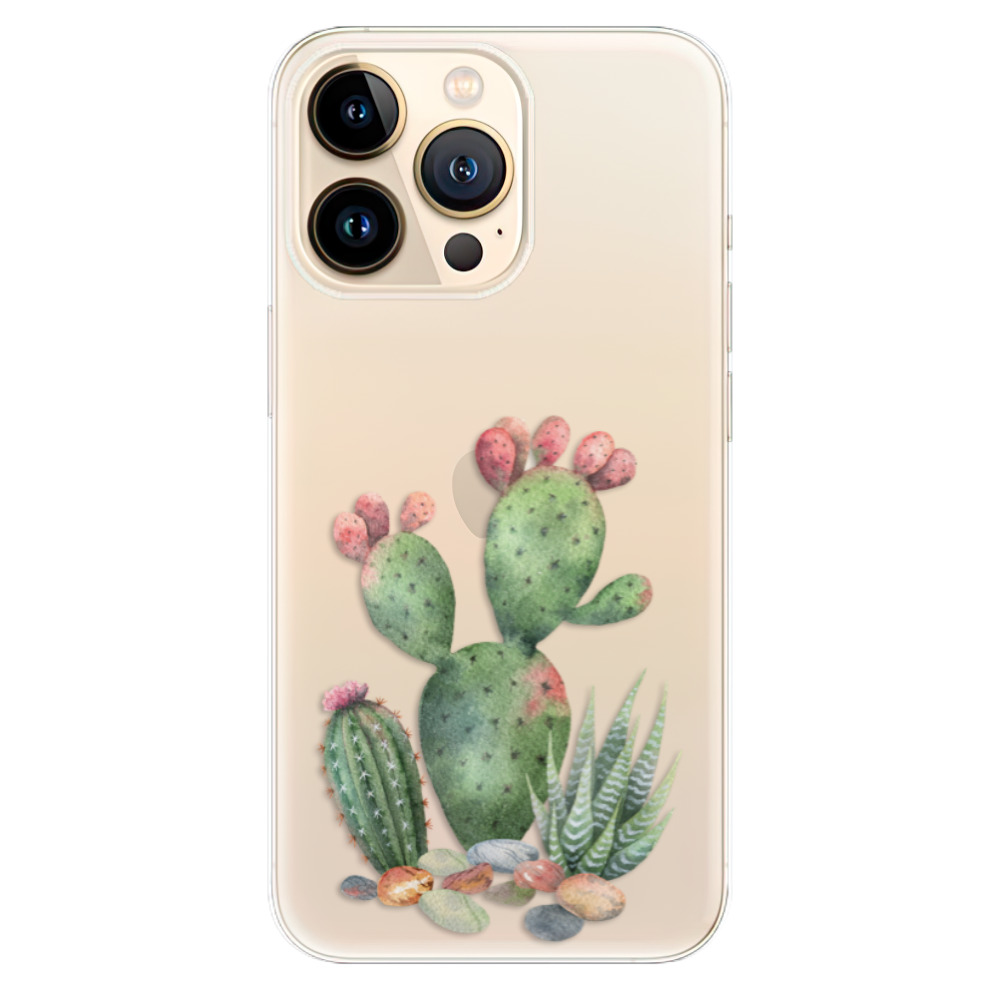Odolné silikónové puzdro iSaprio - Cacti 01 - iPhone 13 Pro Max